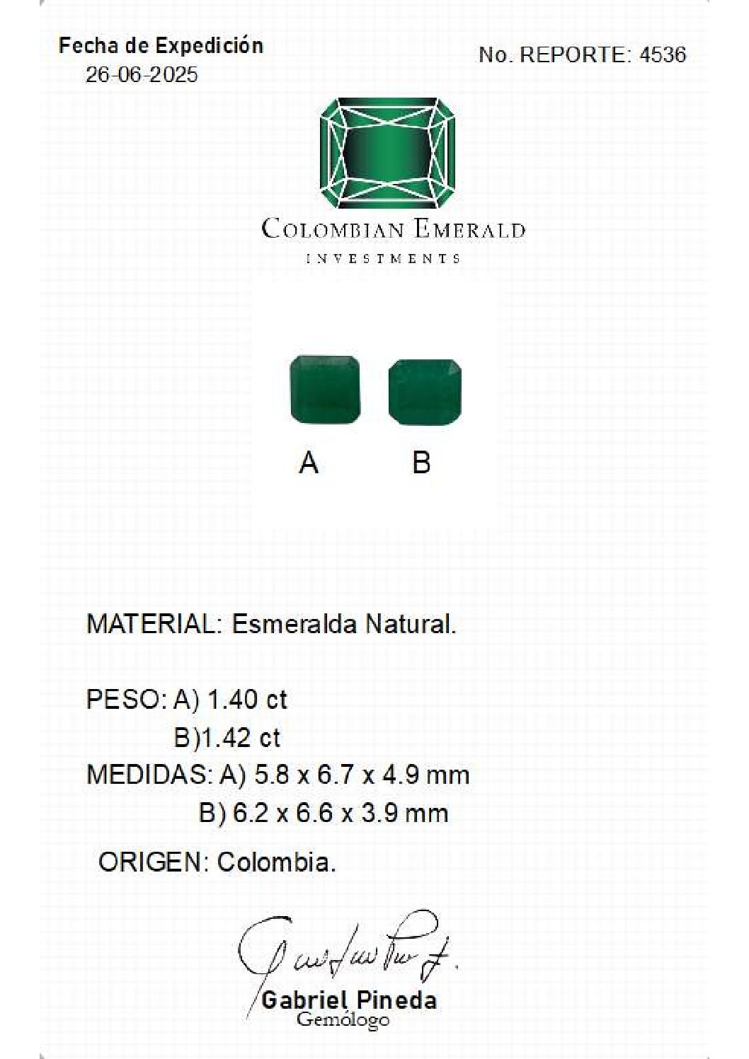 REPORTE-4536 REPORTE 4536