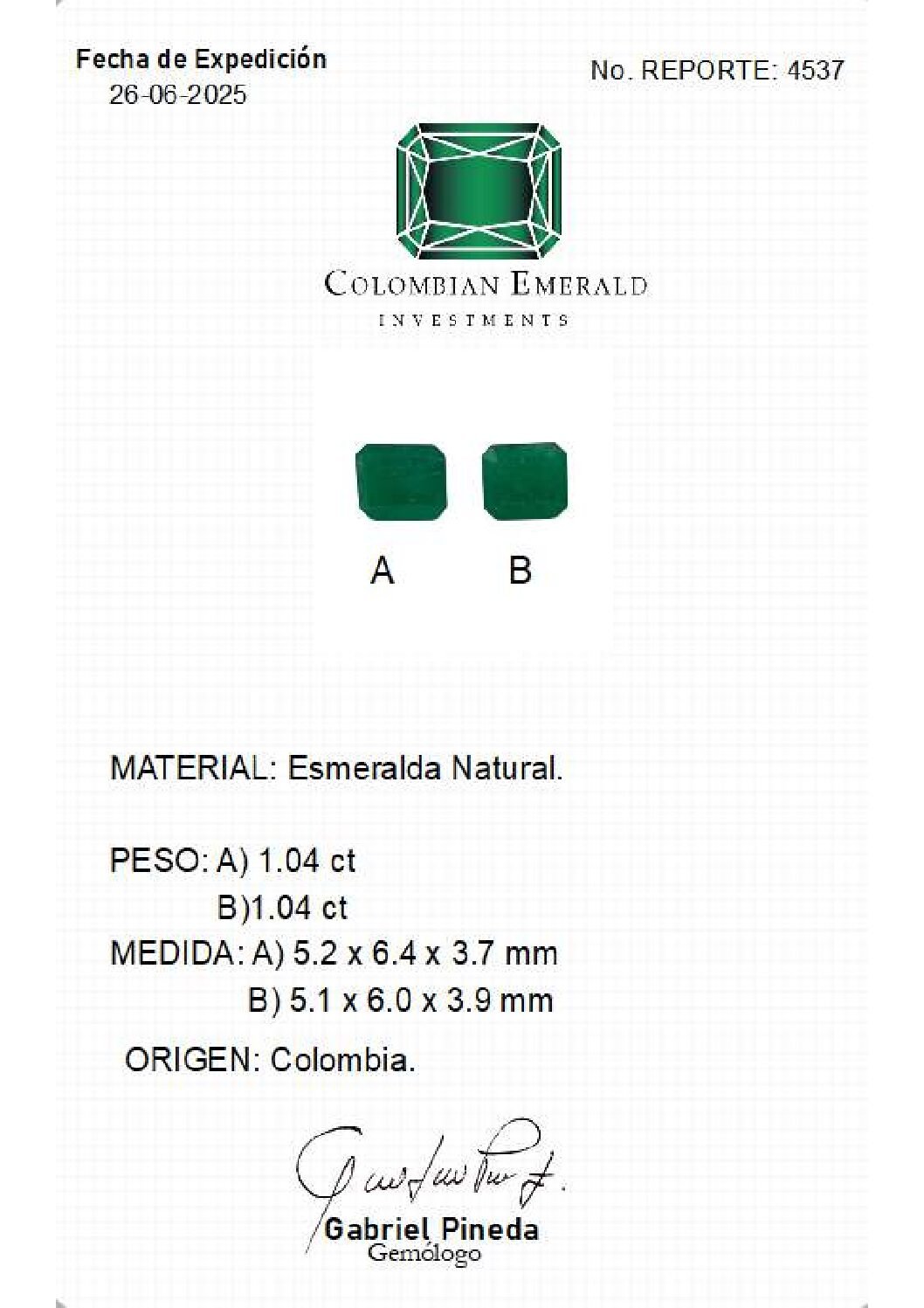 REPORTE-4537 REPORTE 4537
