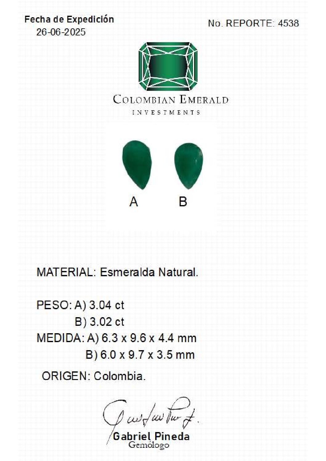 REPORTE-4538 REPORTE 4538