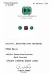 REPORTE 4541