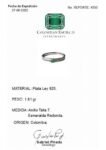 REPORTE 4550