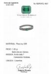 REPORTE  4557 (1)