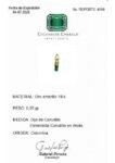 REPORTE  4560