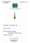 REPORTE  4561