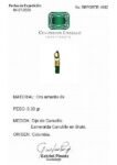 REPORTE   4562